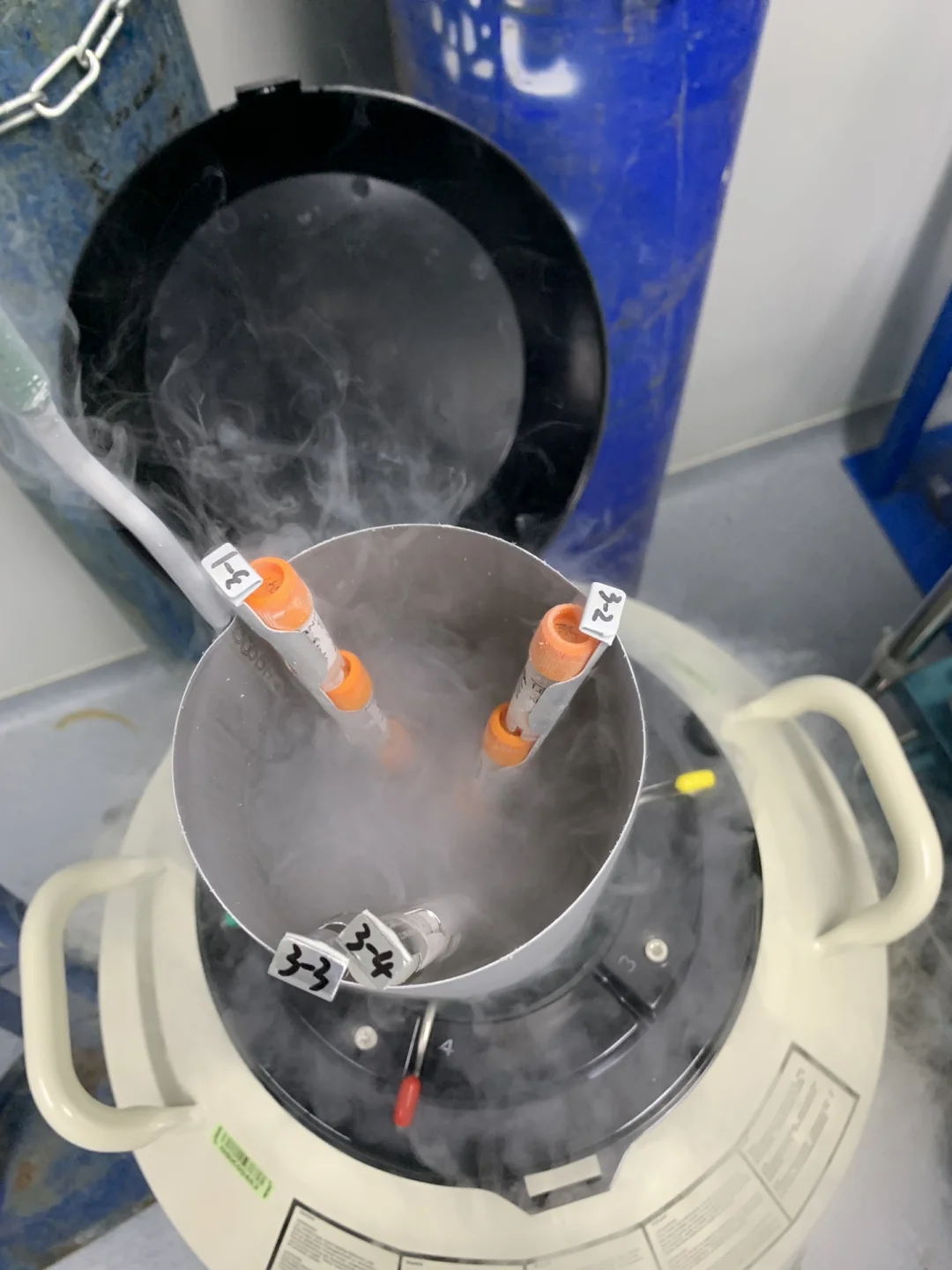 使用液氮罐儲(chǔ)存胚胎樣品